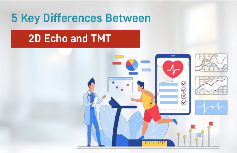 2d echo and tmt