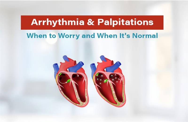 Arrhythmia & Palpitations: What’s Normal and What’s Not